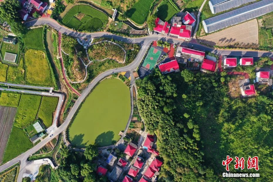 1608108317970138U7F2.png image.png