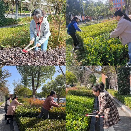 1713930581602649bxM0.png image.png